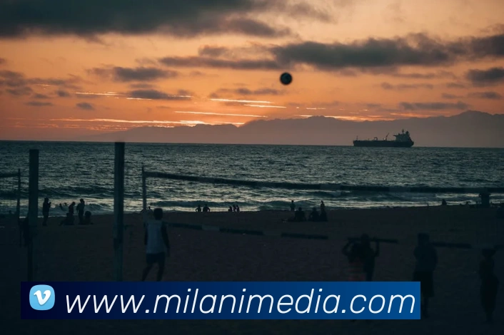 米兰体育平台生态图